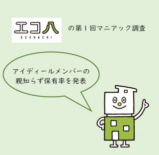 アイディール通信NO ,003　アイディールメンバー　マイナー調査