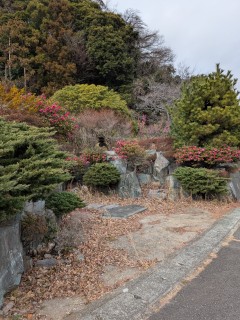 地縄を張りました